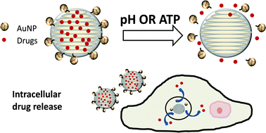 Graphical abstract: Stimuli-responsive functionalized mesoporous silica nanoparticles for drug release in response to various biological stimuli