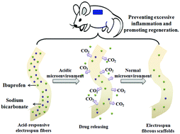 Graphical abstract: Ibuprofen-loaded electrospun fibrous scaffold doped with sodium bicarbonate for responsively inhibiting inflammation and promoting muscle wound healing in vivo