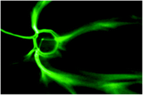 Graphical abstract: Nanoscale semiconductor devices as new biomaterials
