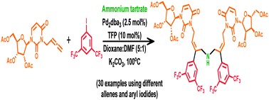 Graphical abstract: Stereoselective Pd(0) catalysed five component cascade synthesis of complex Z,Z-bisallylamines