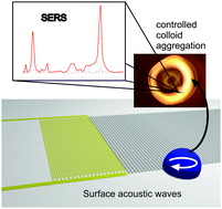Graphical abstract: Acoustically controlled enhancement of molecular sensing to assess oxidative stress in cells