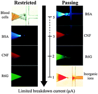 Graphical abstract: Tuneable nanochannel formation for sample-in/answer-out devices