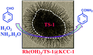 Graphical abstract: One-pot synthesis of benzamide over a robust tandem catalyst based on center radially fibrous silica encapsulated TS-1