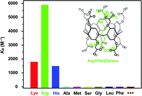 Graphical abstract: Molecular selective binding of basic amino acids by a water-soluble pillar[5]arene