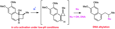 Graphical abstract: pH-sensitive DNA cleaving agents: in situ activation by ring contraction of benzo-fused cyclobutanols