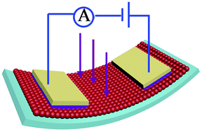 Graphical abstract: Flexible SnO2 hollow nanosphere film based high-performance ultraviolet photodetector