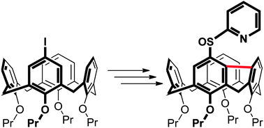 Graphical abstract: Calix[4]arenes with intramolecularly bridged meta positions prepared via Pd-catalysed double C–H activation