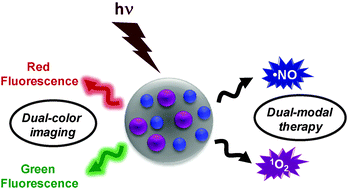 Graphical abstract: An engineered nanoplatform for bimodal anticancer phototherapy with dual-color fluorescence detection of sensitizers