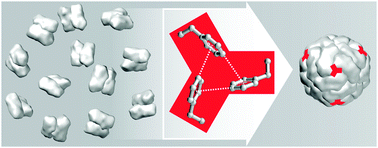 Graphical abstract: Complete shift of ferritin oligomerization toward nanocage assembly via engineered protein–protein interactions