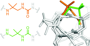 Graphical abstract: Influence of achiral units with gem-dimethyl substituents on the helical character of aliphatic oligourea foldamers