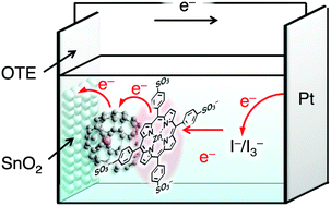 Graphical abstract: Enhanced photoelectrochemical performance of composite photovoltaic cells of Li+@C60–sulphonated porphyrin supramolecular nanoclusters