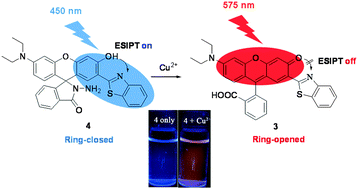 Graphical abstract: Spirolactamized benzothiazole-substituted N,N-diethylrhodol: a new platform to construct ratiometric fluorescent probes