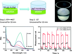Graphical abstract: Facile synthesis of a free-standing Ag@AgCl film for a high performance photocatalyst and photodetector