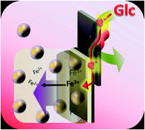 Graphical abstract: Biomolecular release triggered by glucose input – bioelectronic coupling of sensing and actuating systems
