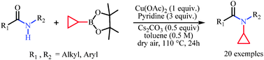 Graphical abstract: Direct N-cyclopropylation of secondary acyclic amides promoted by copper