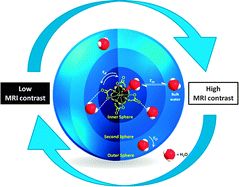Graphical abstract: Environmentally responsive MRI contrast agents