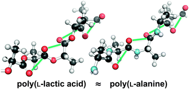 Graphical abstract: n→π* interactions in poly(lactic acid) suggest a role in protein folding