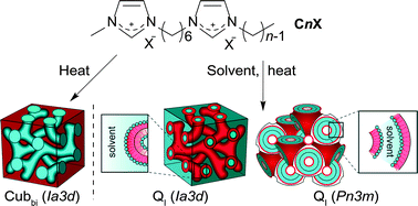 Graphical abstract: Alkyl-bis(imidazolium) salts: a new amphiphile platform that forms thermotropic and non-aqueous lyotropic bicontinuous cubic phases