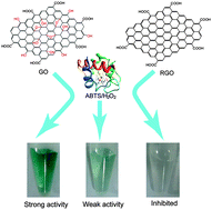 Graphical abstract: Contrasting modulation of enzyme activity exhibited by graphene oxide and reduced graphene