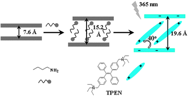 Graphical abstract: AIE cation functionalized layered zirconium phosphate nanoplatelets: ion-exchange intercalation and cell imaging