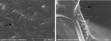 Graphical abstract: Facile preparation of a novel high performance benzoxazine–CNT based nano-hybrid network exhibiting outstanding thermo-mechanical properties