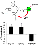 Graphical abstract: Extending the tissue penetration capability of conventional photosensitisers: a carbon quantum dot–protoporphyrin IX conjugate for use in two-photon excited photodynamic therapy