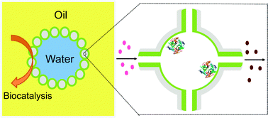 Graphical abstract: Enzyme confined in silica-based nanocages for biocatalysis in a Pickering emulsion