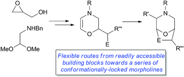 Graphical abstract: Flexible access to conformationally-locked bicyclic morpholines