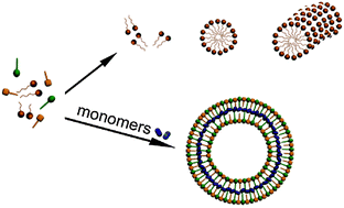 Graphical abstract: Synergistic self-assembly of scaffolds and building blocks for directed synthesis of organic nanomaterials
