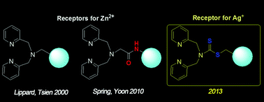 Graphical abstract: Altered selectivity of a dipicolylamine based metal ion receptor