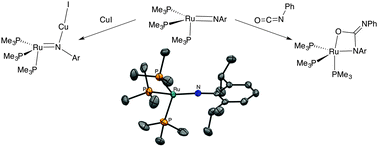 Graphical abstract: A 4-coordinate Ru(ii) imido: unusual geometry, synthesis, and reactivity