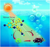 Graphical abstract: A stable dual-functional system of visible-light-driven Ni(ii) reduction to a nickel nanoparticle catalyst and robust in situ hydrogen production