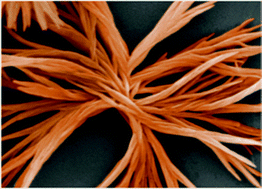 Graphical abstract: Self-assembled solvato-morphologically controlled photochromic crystals