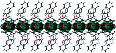 Graphical abstract: Carbon dioxide entrapment in an organic molecular host