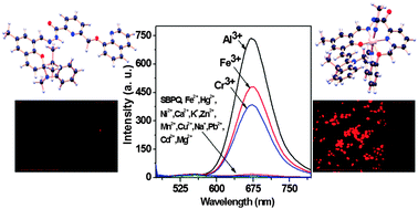 Graphical abstract: A red fluorescence ‘off–on’ molecular switch for selective detection of Al3+, Fe3+ and Cr3+: experimental and theoretical studies along with living cell imaging