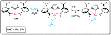 Graphical abstract: Synthesis, characterisation, and oxygen atom transfer reactions involving the first gold(i)-alkylperoxo complexes
