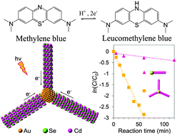 Graphical abstract: Promoting photocatalytic multiple-electron reduction in aerobic solutions using Au-tipped CdSe nanorod clusters