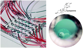 Graphical abstract: Fish in chips: an automated microfluidic device to study drug dynamics in vivo using zebrafish embryos