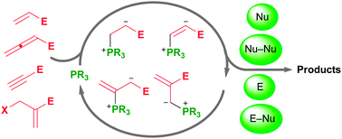 Graphical abstract: Advances in nucleophilic phosphine catalysis of alkenes, allenes, alkynes, and MBHADs