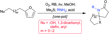 Graphical abstract: One-pot synthesis of 1-azaspiro frameworks initiated by photooxidation of simple furans