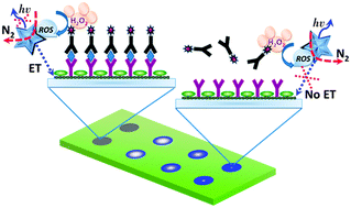 Graphical abstract: Detection of the ovarian cancer biomarker CA-125 using chemiluminescence resonance energy transfer to graphene quantum dots