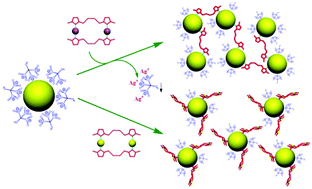 Graphical abstract: Metallamacrocycle-modified gold nanoparticles: a new pathway for surface functionalization