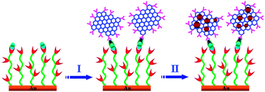 Graphical abstract: Graphene oxide-enabled tandem signal amplification for sensitive SPRi immunoassay in serum