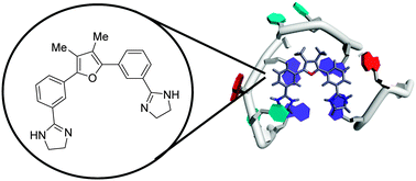 Graphical abstract: Discovery of new G-quadruplex binding chemotypes