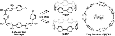 Graphical abstract: Selective synthesis of [7]- and [8]cycloparaphenylenes