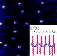 Graphical abstract: Construction of DNA–polymer hybrids using intercalation interactions