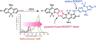 Graphical abstract: Oxidation of 2-amino-substituted BODIPYs providing pyrazine-fused BODIPY trimers