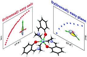 Graphical abstract: Beyond the anisotropy barrier: slow relaxation of the magnetization in both easy-axis and easy-plane Ln(trensal) complexes