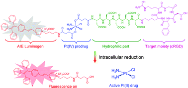 Graphical abstract: A targeted theranostic platinum(iv) prodrug containing a luminogen with aggregation-induced emission (AIE) characteristics for in situ monitoring of drug activation