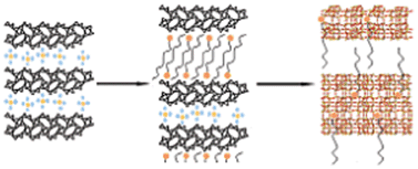 Graphical abstract: One-pot structural conversion of magadiite into MFI zeolite nanosheets using mononitrogen surfactants as structure and shape-directing agents